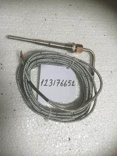  123176651